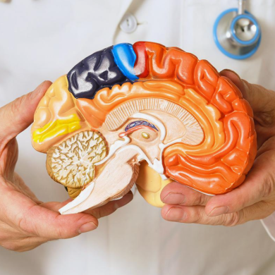 BRAIN AND NERVE SURGERY (NEUROSURGERY) DISEASES